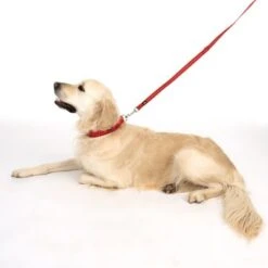 Correa Ajustable TIAKI Reflective Rubber Roja Para Perros -Suministros Para Mascotas 323199 soft save m fg 1630 5