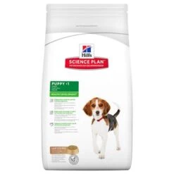 Hill's Science Plan Hill's Puppy <1 Medium Science Plan Con Cordero Y Arroz 12 Hill's Science Plan Hill's Puppy <1 Medium Science Plan Con Cordero Y Arroz -Suministros Para Mascotas 32390 pla hill s caninepuppy lambrice 3