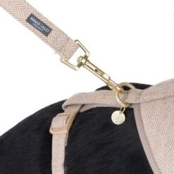 Correa Nomad Tales Calma Arena Para Perros -Suministros Para Mascotas 324713 calma fg 7811 0