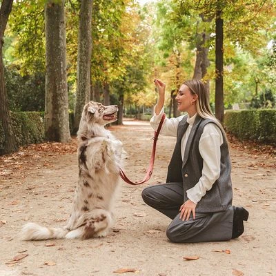 Correa Nomad Tales Blush Vino Para Perros 5 Correa Nomad Tales Blush Vino Para Perros - Imagen 5