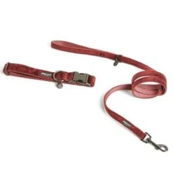 Correa Nomad Tales Blush Vino Para Perros 30 Correa Nomad Tales Blush Vino Para Perros -Suministros Para Mascotas 325600 325601 pla nomadtales blush hundeleine rose hs 01 0