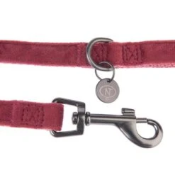 Correa Nomad Tales Blush Vino Para Perros 23 Correa Nomad Tales Blush Vino Para Perros -Suministros Para Mascotas 325600 nomad tales blush hundeleine rose fg 1406 5