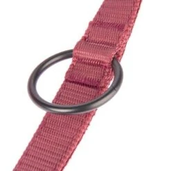 Correa Nomad Tales Blush Vino Para Perros 28 Correa Nomad Tales Blush Vino Para Perros -Suministros Para Mascotas 325601 nomad tales blush hundeleine rose fg 1401 7