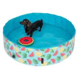 Piscina Para Perros TIAKI Con Cubierta 20 Piscina Para Perros TIAKI Con Cubierta -Suministros Para Mascotas 325909 schwimmende wassermelone mit ball fg 6696 3