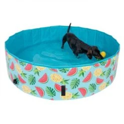 Piscina Para Perros TIAKI Con Cubierta 23 Piscina Para Perros TIAKI Con Cubierta -Suministros Para Mascotas 326696 floating pineapple fg 6648 6