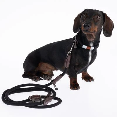 Correa Ajustable Nomad Tales Spirit ébano Para Perros 9 Correa Ajustable Nomad Tales Spirit ébano Para Perros - Imagen 9