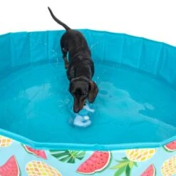 Piscina Para Perros TIAKI Con Cubierta 29 Piscina Para Perros TIAKI Con Cubierta -Suministros Para Mascotas 329014 tiaki seahorse fg 6664 7