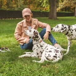 Collar Nomad Tales Spirit Piedra Para Perros -Suministros Para Mascotas 329197 nomad tales spirit halsband stone 04 4