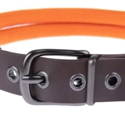 Collar Nomad Tales Spirit Mandarina Para Perros -Suministros Para Mascotas 329297 nomad tales spirit leinen halsbaender fg 1754 8