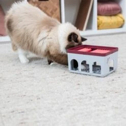 Trixie Cat Activity Rod Box Juego De Inteligencia Para Gatos -Suministros Para Mascotas 332214 trixie cat activity rod box hs 09 1