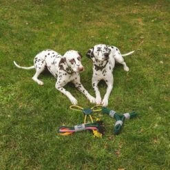 Cuerda Trébol Nomad Tales Spirit Juguete Para Perros -Suministros Para Mascotas 333014 nomad tales spirit spieltau kleeblatt 03 4