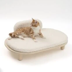 Sofá Osaka Modern Living Para Mascotas -Suministros Para Mascotas 342803 modern living osaka katze 0629 4