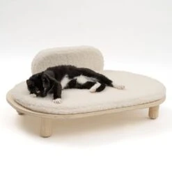 Sofá Osaka Modern Living Para Mascotas -Suministros Para Mascotas 342803 modern living osaka katze 0642 5