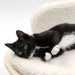 Sofá Osaka Modern Living Para Mascotas -Suministros Para Mascotas 342803 modern living osaka katze 0644 6