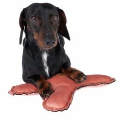 Blush Flying X Nomad Tales Juguete Para Perros -Suministros Para Mascotas 344597 blush fying x fg 7914 4