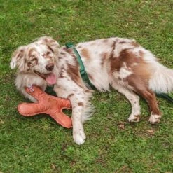 Blush Flying X Nomad Tales Juguete Para Perros -Suministros Para Mascotas 344597 nomad tales blush flyingx hs 02 2