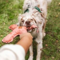 Blush Flying X Nomad Tales Juguete Para Perros -Suministros Para Mascotas 344597 nomad tales blush flyingx hs 03 2