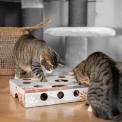 Canadian Cat Company MagicBox Juego De Inteligencia Para Gatos -Suministros Para Mascotas 346599 canadiancat company intelligenzspielzeug magicbox hs 13 9