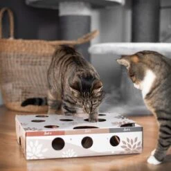 Canadian Cat Company MagicBox Juego De Inteligencia Para Gatos -Suministros Para Mascotas 346599 canadiancat company intelligenzspielzeug magicbox hs 16 0