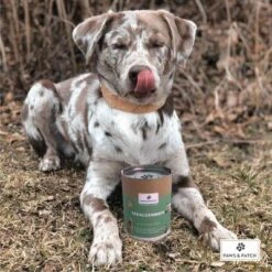 PAWS & PATCH Harina De Algas 5 PAWS & PATCH Harina De Algas -Suministros Para Mascotas 346896 paws patch seealgenmehl 250g hs 02 0