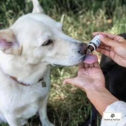 PAWS & PATCH Complemento Para La Ansiedad -Suministros Para Mascotas 347097 paws patch angst unsicherheit hs 02 8