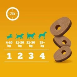 Pedigree Multivitaminas Para El Sistema Inmunitario -Suministros Para Mascotas 372107 pedigree multivitamins immunsystem hs 07 6