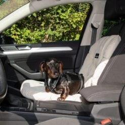 Asiento Para El Coche Nomad Tales Blush Para Perros, Beige -Suministros Para Mascotas 376802 nt dog car seat fg 4824 8