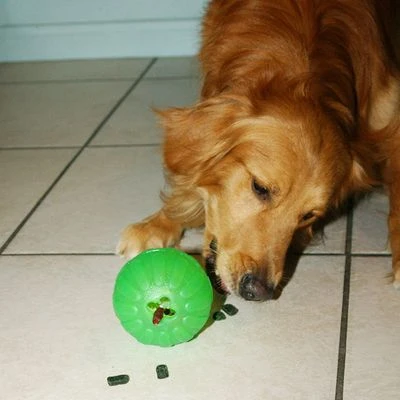 Starmark Pelota Portasnacks Para Perros 9 Starmark Pelota Portasnacks Para Perros - Imagen 9