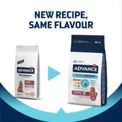 Advance Medium Senior Con Pollo Y Arroz -Suministros Para Mascotas 397796 affinity advance medium senior hs 01 8