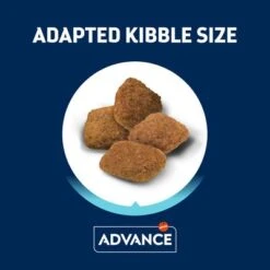 Advance Medium Senior Con Pollo Y Arroz -Suministros Para Mascotas 397796 affinity advance medium senior hs 04 2