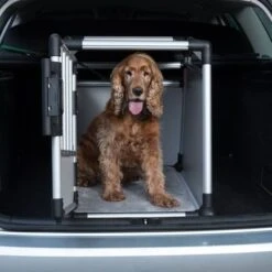 Jaula De Transporte Trixie De Aluminio -Suministros Para Mascotas 42572 trixie transportbox alu fg 3591 3