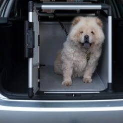 Jaula De Transporte Trixie De Aluminio -Suministros Para Mascotas 42815 trixie transportbox alu fg 3618 0