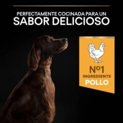 PURINA PRO PLAN Large Athletic Adult Everyday Nutrition -Suministros Para Mascotas 44142590 es es 221230 1 1