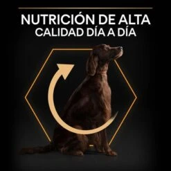 PURINA PRO PLAN Large Athletic Adult Everyday Nutrition -Suministros Para Mascotas 44142590 es es 221230 1 3 8