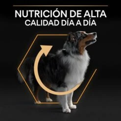 PURINA PRO PLAN Medium Adult Everyday Nutrition 14 PURINA PRO PLAN Medium Adult Everyday Nutrition -Suministros Para Mascotas 44142699 es es 221230 1 3 9