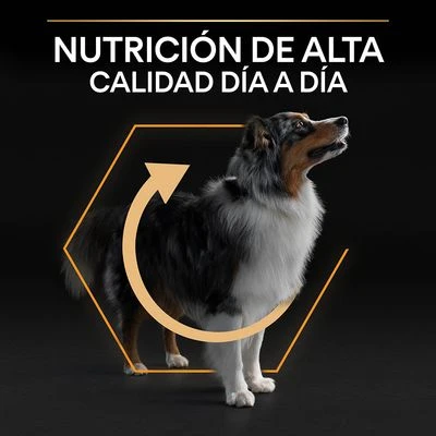PURINA PRO PLAN Medium Adult Everyday Nutrition 5 PURINA PRO PLAN Medium Adult Everyday Nutrition - Imagen 5