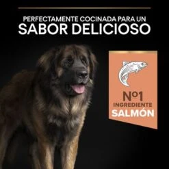 PURINA PRO PLAN Large Robust Adult Sensitive Skin Salmón -Suministros Para Mascotas 44152235 es es 221230 1 1 2