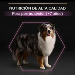 PURINA PRO PLAN Medium & Large Adult 7+ Age Defence 12 PURINA PRO PLAN Medium & Large Adult 7+ Age Defence -Suministros Para Mascotas 44152668 es es 221230 1 3 5