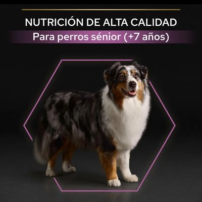 PURINA PRO PLAN Medium & Large Adult 7+ Age Defence 4 PURINA PRO PLAN Medium & Large Adult 7+ Age Defence - Imagen 4