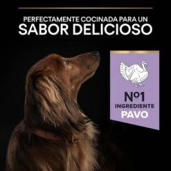 PURINA PRO PLAN Small & Mini Adult Sensitive Digestion Sin Cereales -Suministros Para Mascotas 44157647 es es 221230 1 5