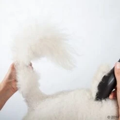 Máquina Cortapelo Moser Max50 29 Máquina Cortapelo Moser Max50 -Suministros Para Mascotas 465281 schermaschine moser max 50 02 0