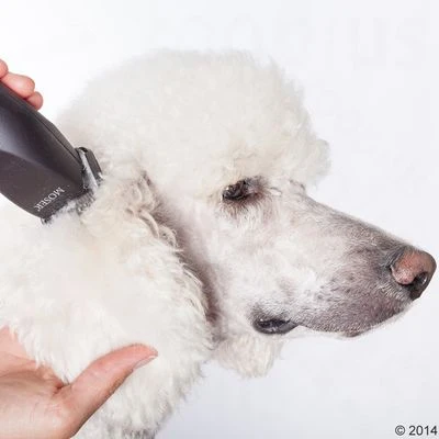 Máquina Cortapelo Moser Max50 11 Máquina Cortapelo Moser Max50 - Imagen 11