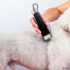 Máquina Cortapelo Moser 1400 21 Máquina Cortapelo Moser 1400 -Suministros Para Mascotas 465374 schermaschine moser 1400 04 2