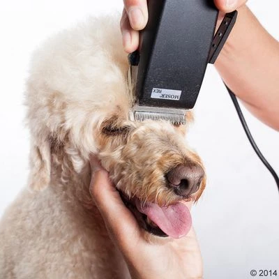 Máquina Cortapelo Moser Rex 9 Máquina Cortapelo Moser Rex - Imagen 9