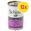 Pack Ahorro: Schesir 12 X 140 G