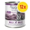 Wolf Of Wilderness Senior 12 X 800 G - Pack Ahorro