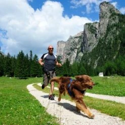 Cinturón De Canicross NEEWA -Suministros Para Mascotas 505647 hp neewa canicross jogging gurt im einsatz 3