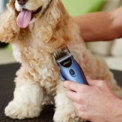 Set Máquina Cortapelo Para Mascotas Oster 220 V 22 Set Máquina Cortapelo Para Mascotas Oster 220 V -Suministros Para Mascotas 53731 osterheimtierschermaschinen hs 10 1