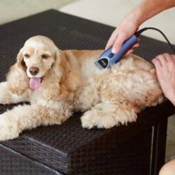 Set Máquina Cortapelo Para Mascotas Oster 220 V 23 Set Máquina Cortapelo Para Mascotas Oster 220 V -Suministros Para Mascotas 53731 osterheimtierschermaschinen hs 12 3