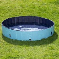 Piscina Para Perros Keep Cool -Suministros Para Mascotas 60405 PLA Dog Pool Keep Cool 160 FG DSC4746 6